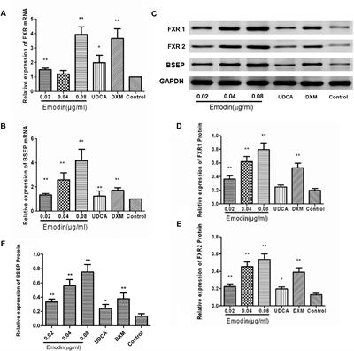 Emodin Rescues Intrahepatic Cholestasis via Stimulating FXR/BSEP Pathway in Promoting the Canalicular Export of Accumulated Bile